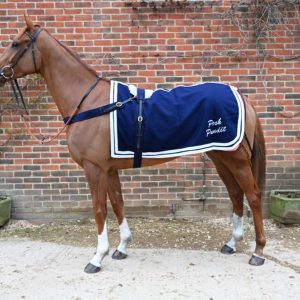 Upgrade to The Elite Package